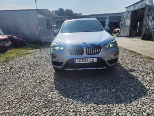 BMW X1 ქირავდება გუდაური -ში