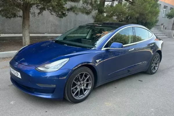 Tesla Model 3 ქირავდება ბორჯომში