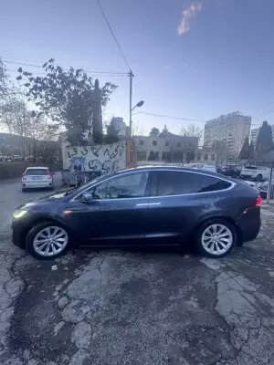 Tesla Model X ქირავდება საქართველო -ში