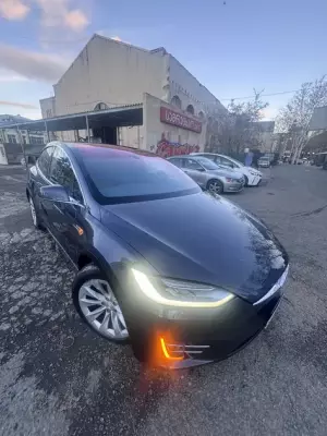 Tesla Model X ქირავდება საქართველოში