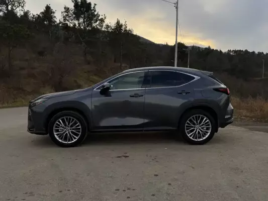Lexus NX 350 ქირავდება საქართველოში
