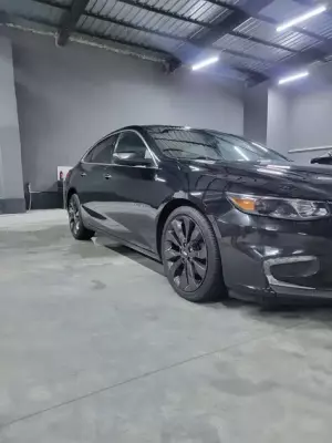 Chevrolet Malibu ქირავდება საქართველოში