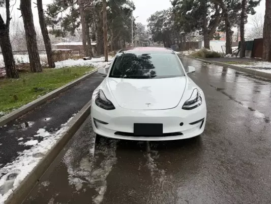 Tesla Model 3 ქირავდება საქართველო -ში