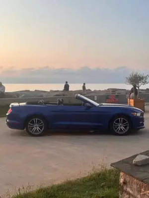 Ford Mustang ქირავდება სარფში