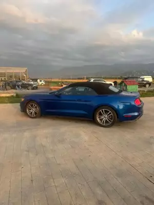 Ford Mustang ქირავდება სარფში