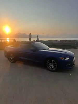 Ford Mustang ქირავდება სარფში