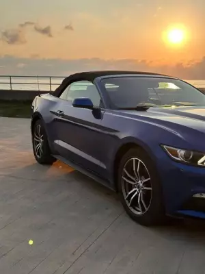 Ford Mustang ქირავდება სარფში