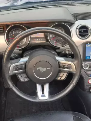 Ford Mustang ქირავდება სარფში