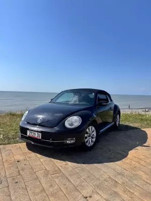 Volkswagen Beetle ქირავდება საქართველოში