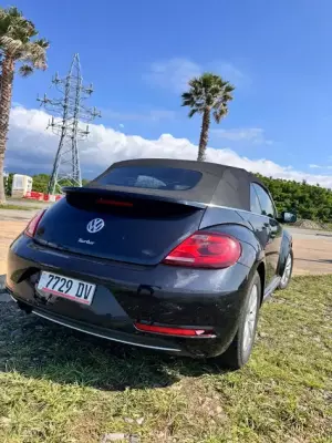 Volkswagen Beetle ქირავდება საქართველოში