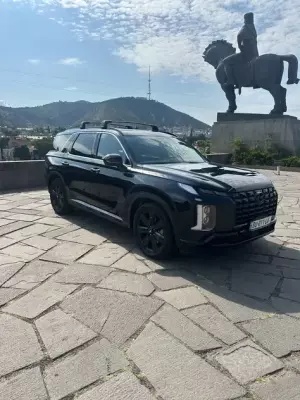 Hyundai Palisade for rent in Senaki