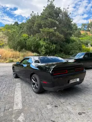 Dodge Challenger for rent in Telavi