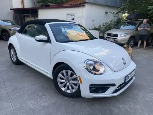 Volkswagen Beetle ქირავდება საქართველოში