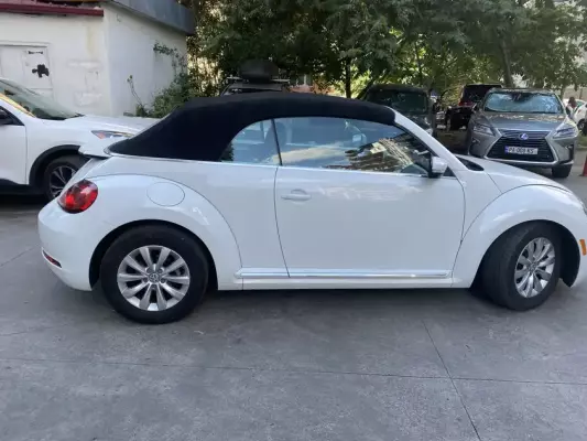 Volkswagen Beetle ქირავდება ჩაქვში