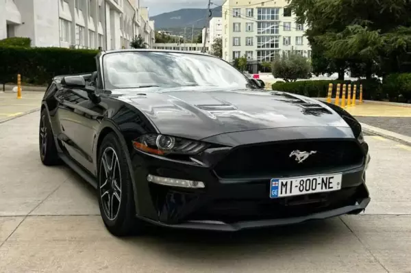 Ford Mustang ქირავდება საქართველოში