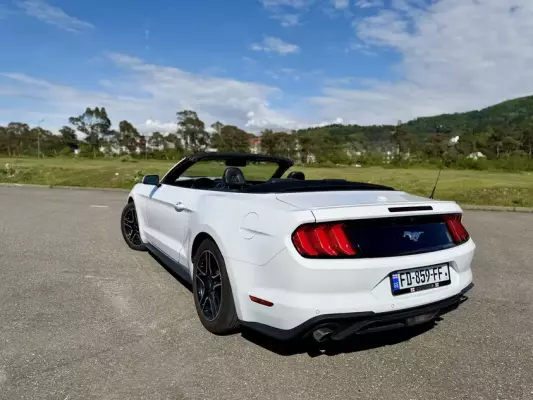 Ford Mustang for rent in Senaki