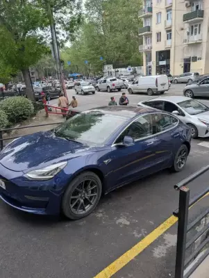 Tesla Model 3 ქირავდება საქართველოში