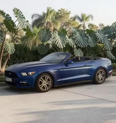 Ford Mustang ქირავდება სარფში