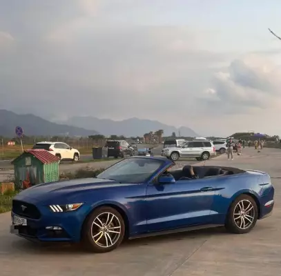 Ford Mustang ქირავდება სარფში
