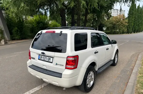 Ford Escape ქირავდება საქართველოში