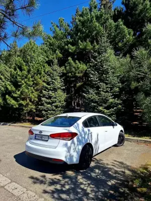 KIA Forte ქირავდება საქართველოში