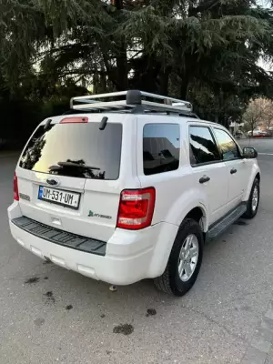Ford Escape ქირავდება საქართველოში